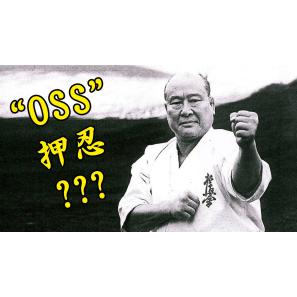 Que signifie OSS dans les arts martiaux ?